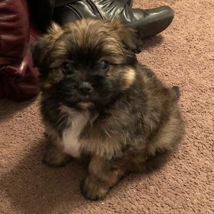 Meet your Posher, Debbie